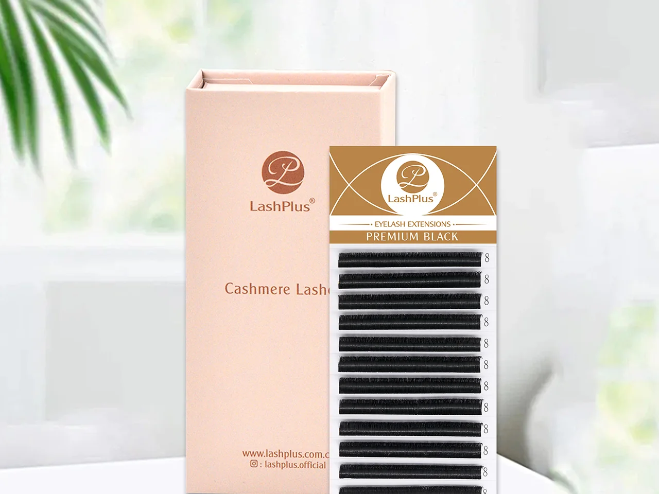 Cartela de cílios flat ao lado da sua caixa de marca própria